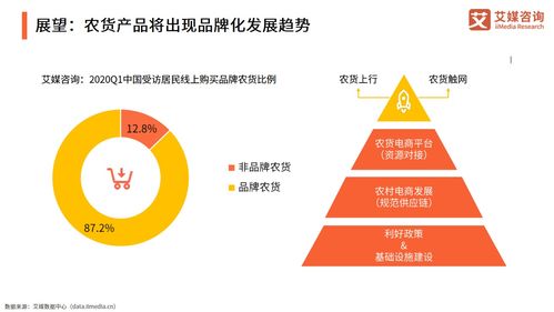 2021年中國農產品電商發展報告 信息咨詢視角